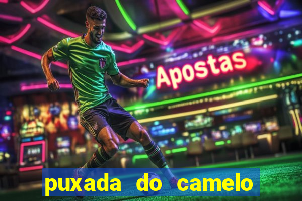 puxada do camelo no jogo do bicho